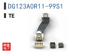DG123A0R11-99S1