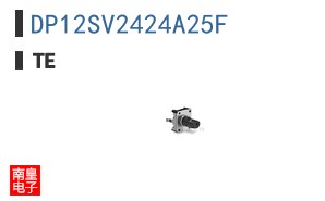 DP12SV2424A25F