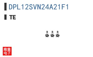 DPL12SVN24A21F1