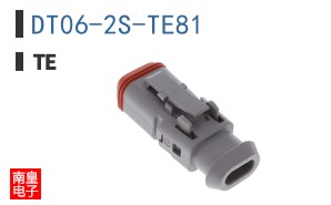 DT06-2S-TE81