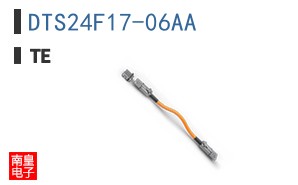 DTS24F17-06AA