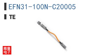 EFN31-100N-C20005