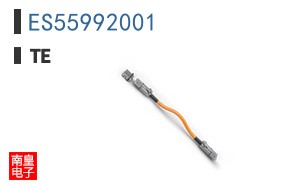 ES55992001