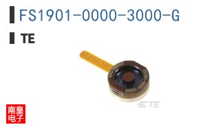 FS1901-0000-3000-G
