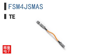 FSM4JSMAS