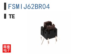 FSMIJ62BR04