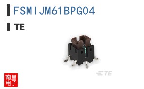 FSMIJM61BPG04