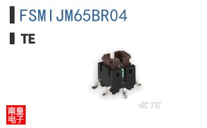 FSMIJM65BR04