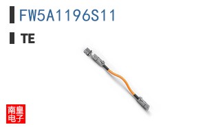 FW5A1196S11