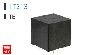 IT313