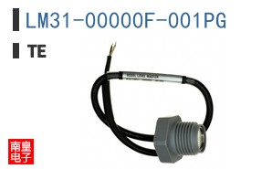 LM31-00000F-001PG