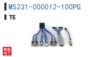 M5231-000012-100PG