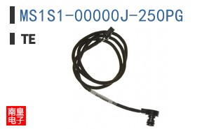 MS1S1-00000J-250PG