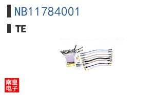 NB11784001