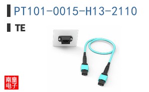 PT101-0015-H13-2110