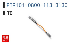 PT9101-0800-113-3130