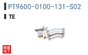 PT9600-0100-131-S02