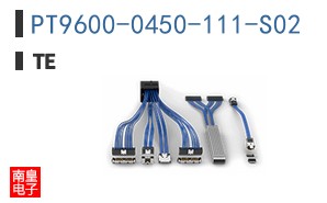 PT9600-0450-111-S02