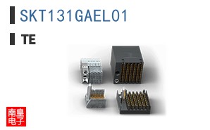 SKT131GAEL01