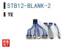 STB12-BLANK-2