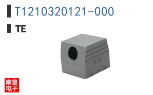 T1210320121-000