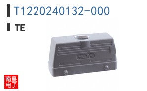 T1220240132-000