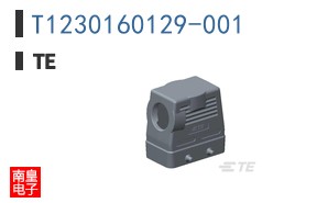T1230160129-001