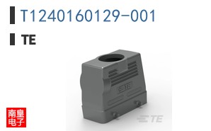 T1240160129-001