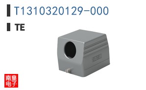 T1310320129-000