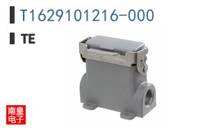 T1629101216-000