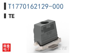 T1770162129-000