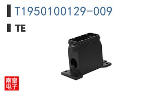 T1950100129-009