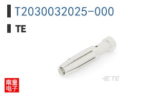T2030032025-000