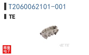 T2060062101-001