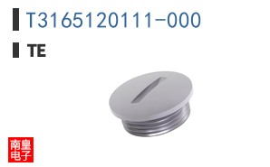 T3165120111-000