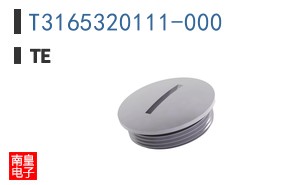 T3165320111-000