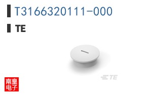 T3166320111-000