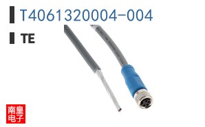 T4061320004-004