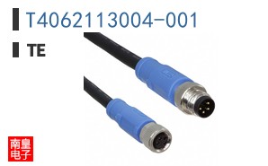 T4062113004-001