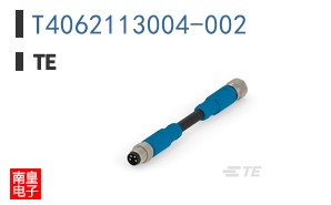 T4062113004-002