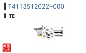 T4113512022-000