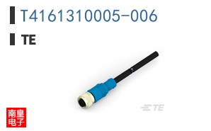 T4161310005-006
