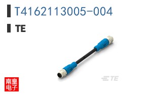 T4162113005-004
