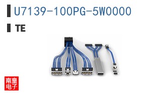 U7139-100PG-5W0000