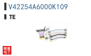 V42254A6000K109