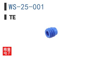 WS-25-001