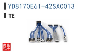 YD8170E61-42SXC013