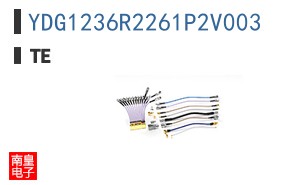 YDG1236R2261P2V003