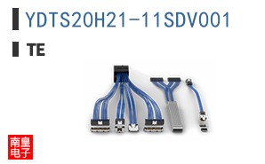 YDTS20H21-11SDV001