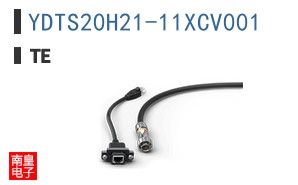 YDTS20H21-11XCV001